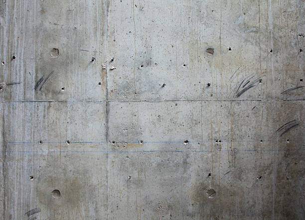 Best Stamped Concrete Services in Lake Mary Jane, FL